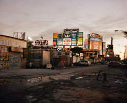 thomasprior:  home game I, queens, 2012 