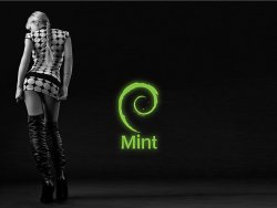 My wallpaper  Mint Debian