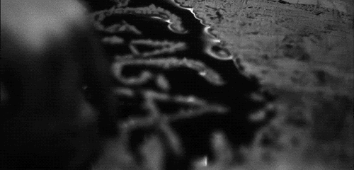 Beneath Lucifer's Claws...