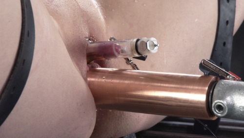 Porn photo 4bdsmsluts:  your pussy filled with a copper