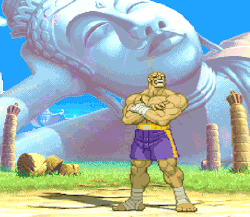 I always figured Sagat was laughing in his