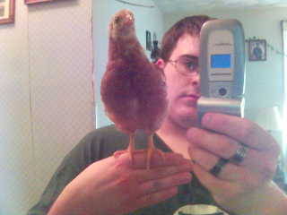 Porn photo meanplastic:  holding a cock