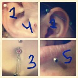 #day17 #myfavorite #mypiercings not in order of favorite though. Lobes dont really count :)