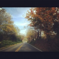 Such a pretty drive. 🍂🍁