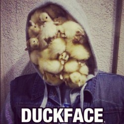 Guys, I can’t even. 😂 #duckface