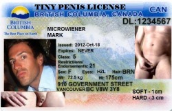 microwiener:  my license   Cute lil clitty :)