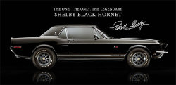 Mustangsteve:  “Black Hornet” The Only Authorized Replica Of Carroll Shelby’s