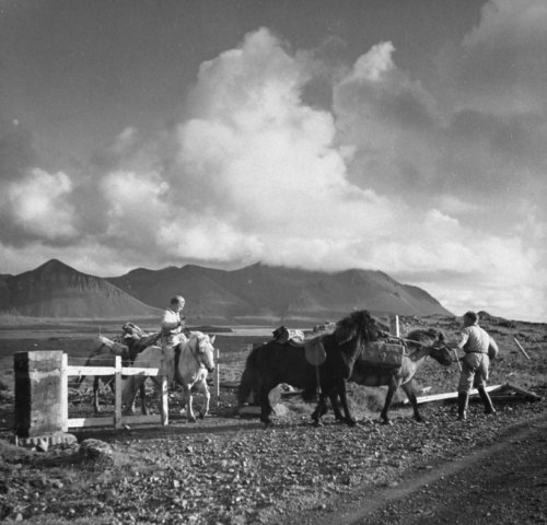 “A saddle-horse and a pack-horse are sufficient for the Icelander to cross wide tracts of barr