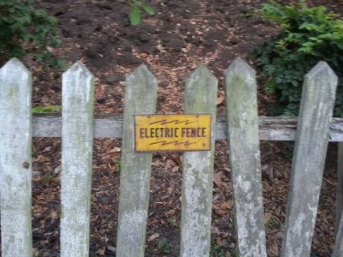 collegehumor: Electric Fence You should probably just touch it once, to make sure.