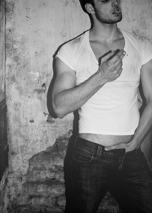 Gay Beauty
