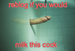weluvcum:  Yes we would   I have yet to suck a BIG WHITE COCK! I would do my best with this masterpiece.