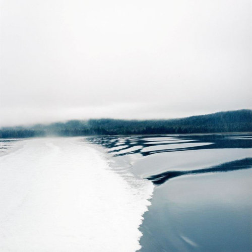 untitled # (from Wilderness Series), 2007Debra Bloomfield