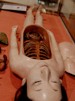 auauk:  Japanese Anatomical Mannequin at