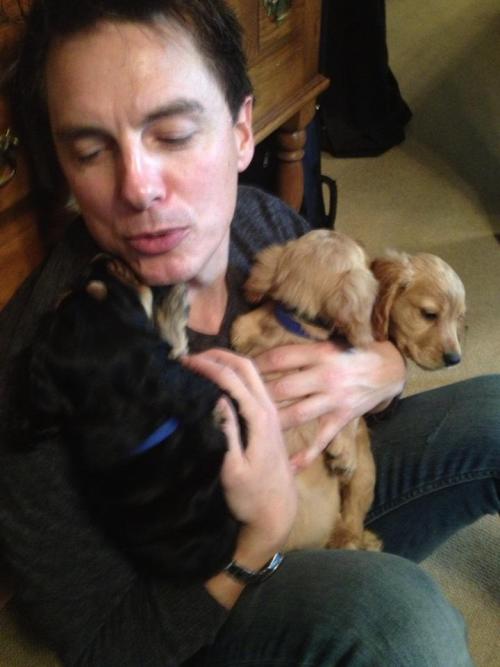 shmacattack:  JOHN BARROWMAN JOHN BARROWMAN AND PUPPIES 