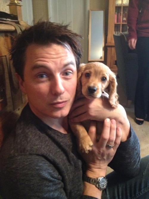 shmacattack:  JOHN BARROWMAN JOHN BARROWMAN AND PUPPIES 