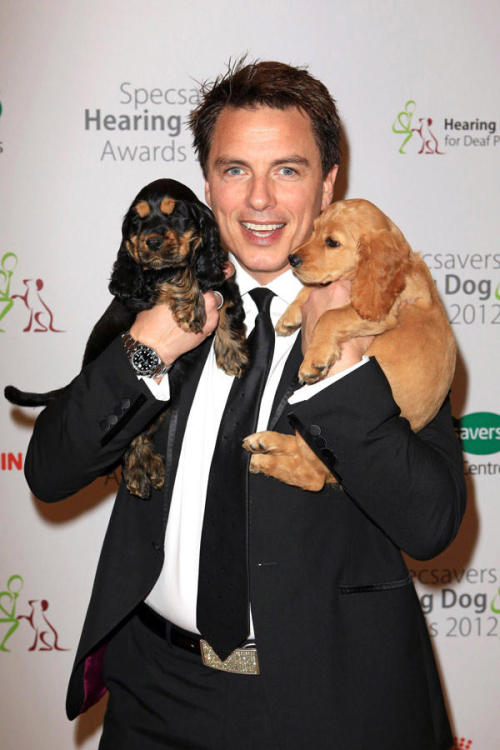 shmacattack:  JOHN BARROWMAN JOHN BARROWMAN AND PUPPIES 