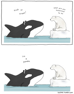 lizclimo:  panda whale  exclusive comic