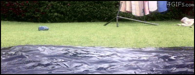 tomojuguitoencaja:  COOOOOOOONCHETUMARE XDDDDDDDDDDDDDDD 