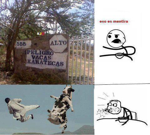 mecagaron:  Paint Piola