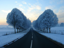 beautiful-avalanche:  Mid winter in Finland…