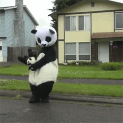 expectopatronusxd:   te paseo hijo de panda