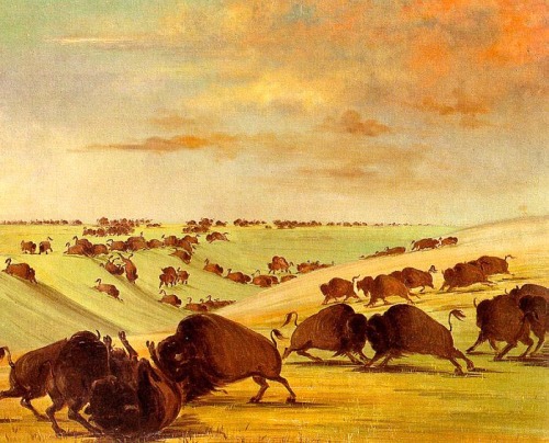 artmastered:George Catlin, 1837-39, Buffalo Bulls Fighting in Running Season-Upper Missouri