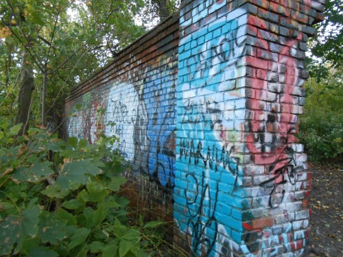 sinofthecity:  One of my favorite things to photograph is the juxtaposition of nature and graffiti.Found these paintings on an old stone wall in a remote section of Pelham Bay Park. It’s a popular spot for fishermen, dog walkers, and dreamers. I found