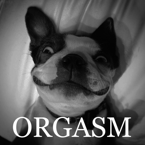 sim, sou gata.