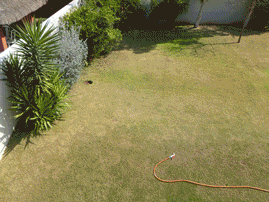 Somebody posted a timelapse of their construction of a swimming pool. Here’s a gif of that.