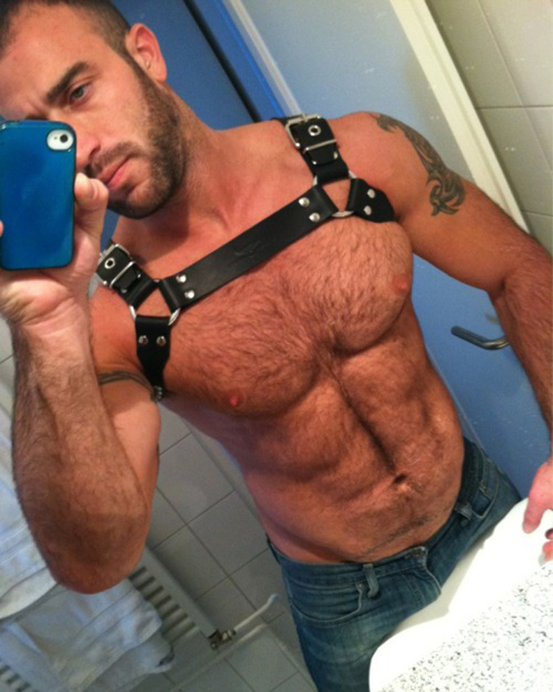 Nipples and harness