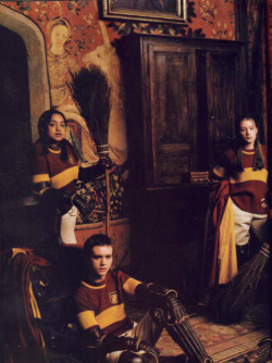 knockturnallley:   The Gryffindor Quidditch