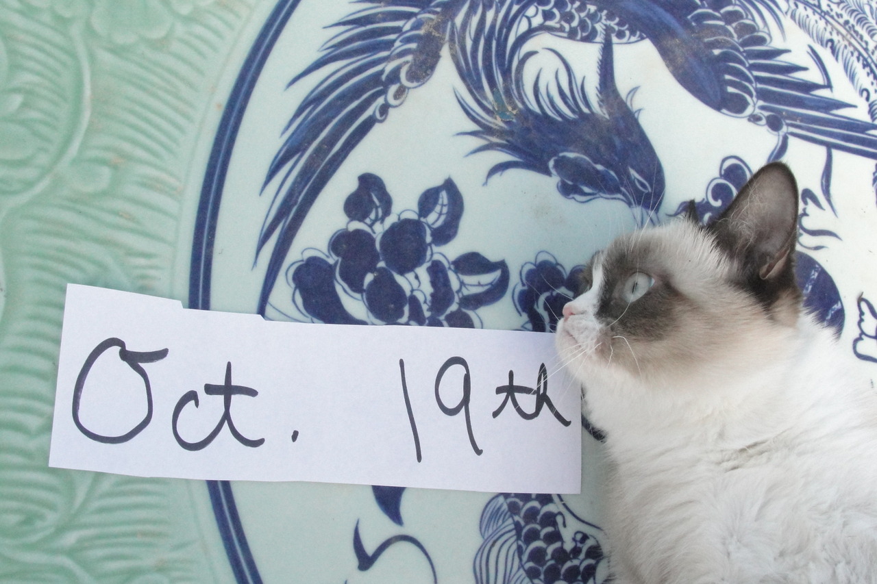 The Daily Grump | October 19, 2012 
 It's Friday, the weekend is almost here! Have a great day!