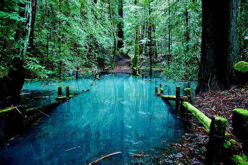 the sound of reverie