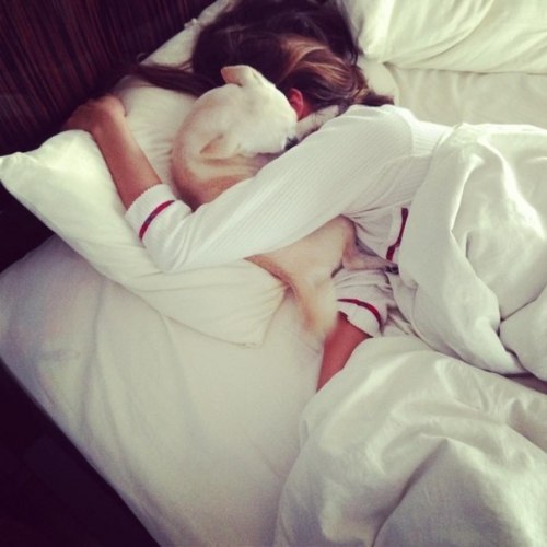 mildrose:  my puppy does this too aw  ❀ rosy ❀