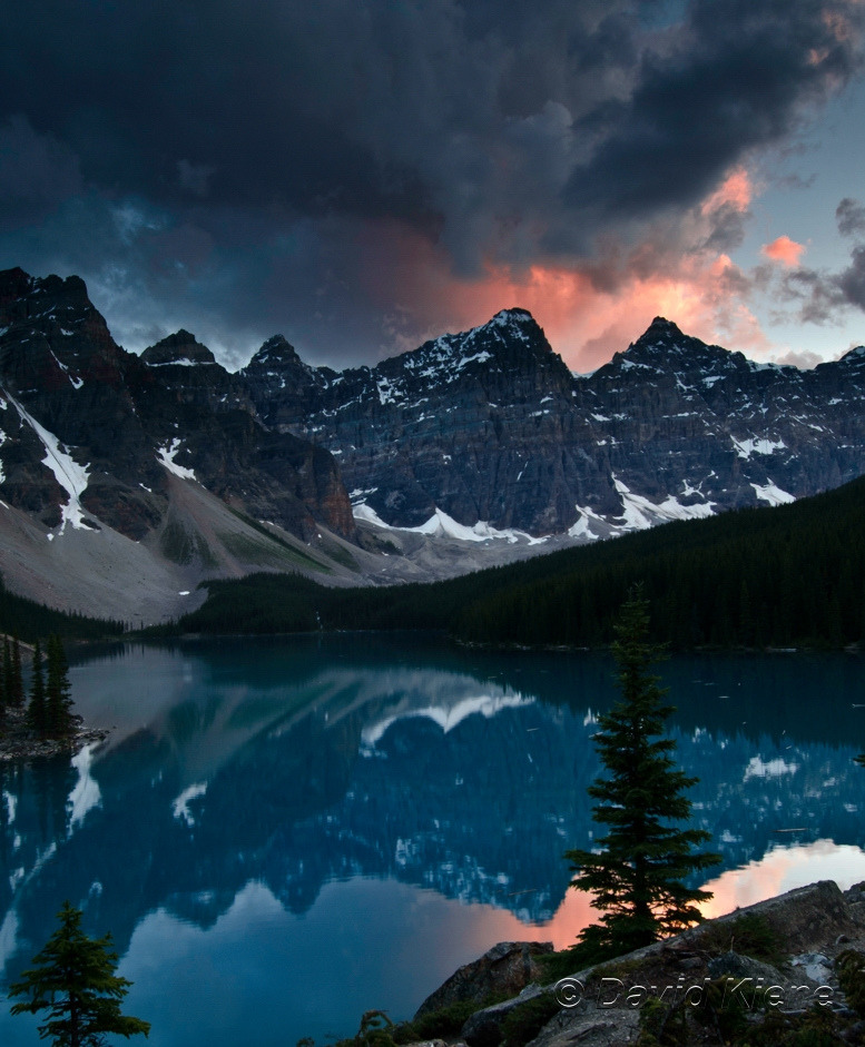 owakolf:  Nature Blog 