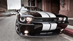 zero1infinity:  Dodge Challenger