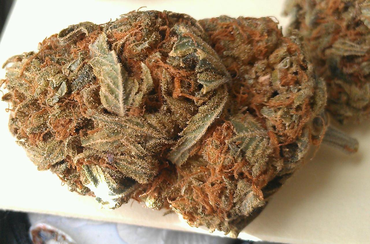 when you smoke the herb it reveals you to yourself