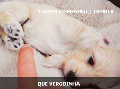Give me love