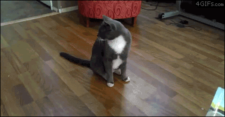 For animated GIFs