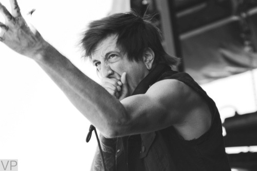 soscalene:  austin carlile is the biggest contradiction ever one minute hes scary and the next hes in a fucking cat vest being a little fluffy bunny  