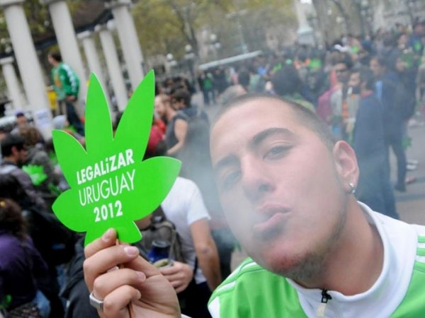 DID YOU KNOW? URUGUAY PLANS TO LEGALIZE CANNABIS THIS YEAR?  The government sent