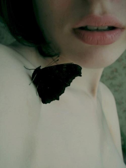 m-as-tu-vu:The cLue ..*
