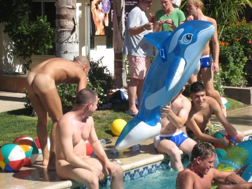 tripnight:  pool Q revisited 