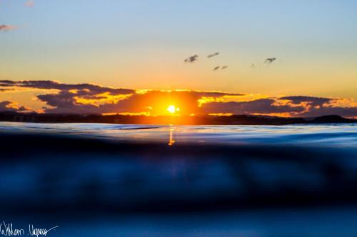 Surfs Up