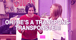 transponsters:  FRIENDS - 10 of the funniest moments:  Phoebe finding out about Chandler