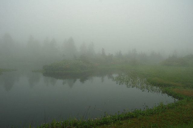 hasuyuri:  mists of avalon by Andrew McLucas [tokyogoat] on Flickr. 