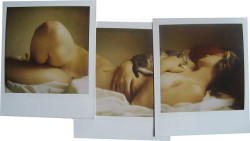 cityswim:   POLAROID COLLAGES BY HANA DAVIES