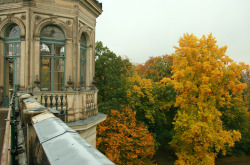 allthingseurope:  Dresden, Germany (by Bert