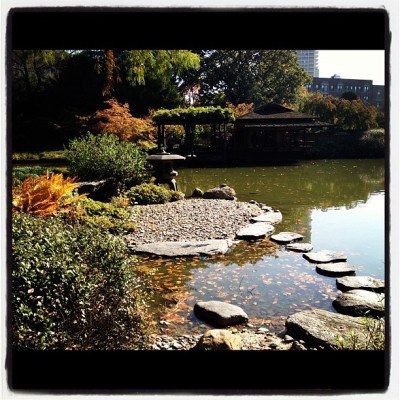 Japanese #garden and the pond 2 #nyc #newyork #igersnyc #euinnyc (at Brooklyn Botanic Garden)