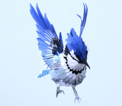 mydarkenedeyes:  New paper bird sculptures by Diana Beltran Herrera. 